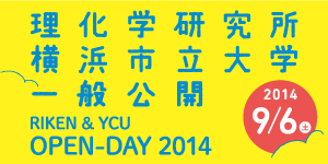 Open Day