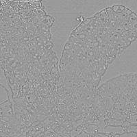 Stacks Image 907