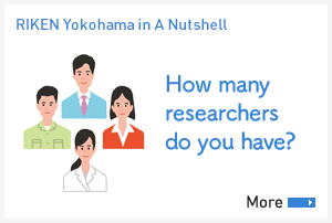 [Us in A Nutshell]How many researchers do you have?