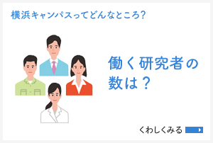 [横浜キャンパスってどんなところ？]働く研究者の数は？