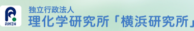 独立行政法人 理化学研究所「横浜研究所」