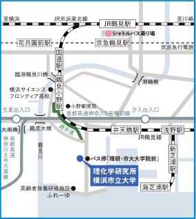 アクセス 一般公開 理化学研究所横浜キャンパス 横浜市立大学鶴見キャンパス