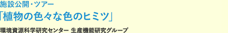 施設公開・ツアー「植物の色々な色のヒミツ」環境資源科学研究センター生産機能研究グループ