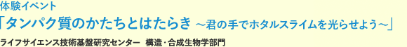 施設公開・ツアー「タンパク質のかたちとはたらき ～君の手でホタルスライムを光らせよう～」ライフサイエンス技術基盤研究センター構造・合成生物学部門