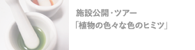施設公開・ツアー植物の色々な色のヒミツ  環境資源科学研究センター 生産機能研究グループ
