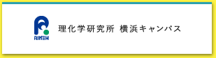 理化学研究所 横浜キャンパス