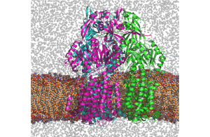 3.スーパーコンピュータで探る生命分子の働きと薬づくり