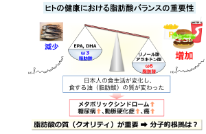 4.脂肪酸代謝と炎症の制御