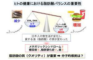 4.脂肪酸代謝と炎症の制御