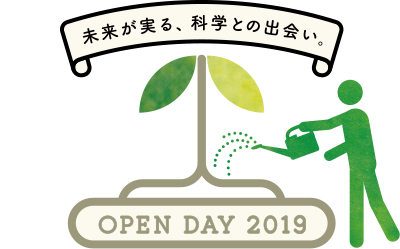 OPEN DAY 2019