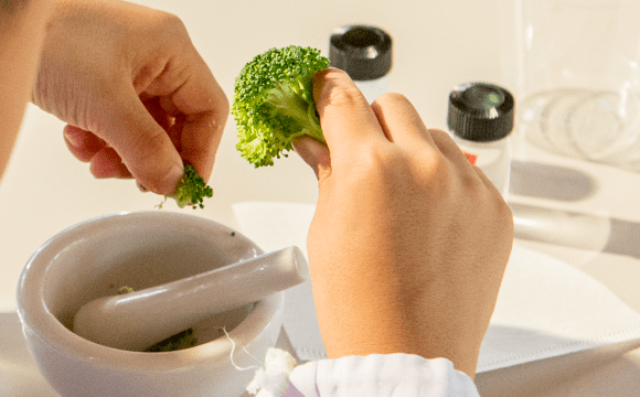 いろいろな野菜・果物からDNAを抽出しようのイベント写真