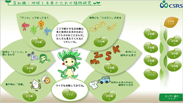 植物研究の豆知識 ＆ クイズの説明写真