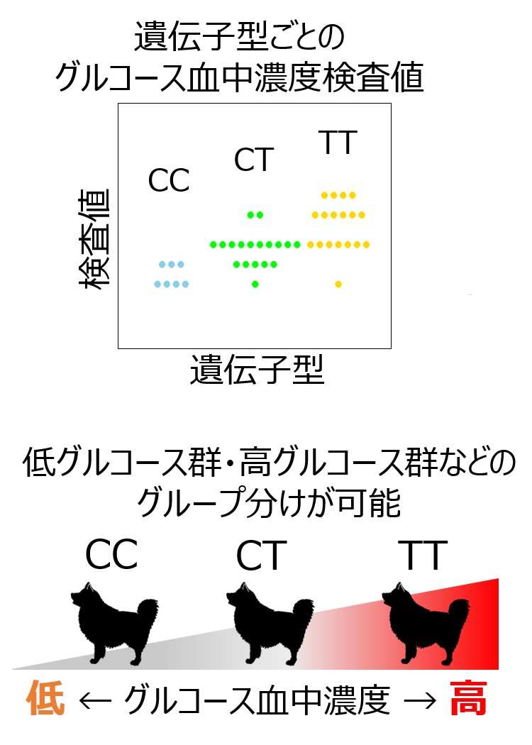 血中グルコース濃度によるグループ分けの図