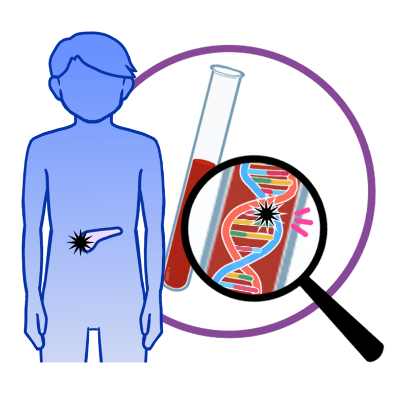 膵がん解析イメージイラスト